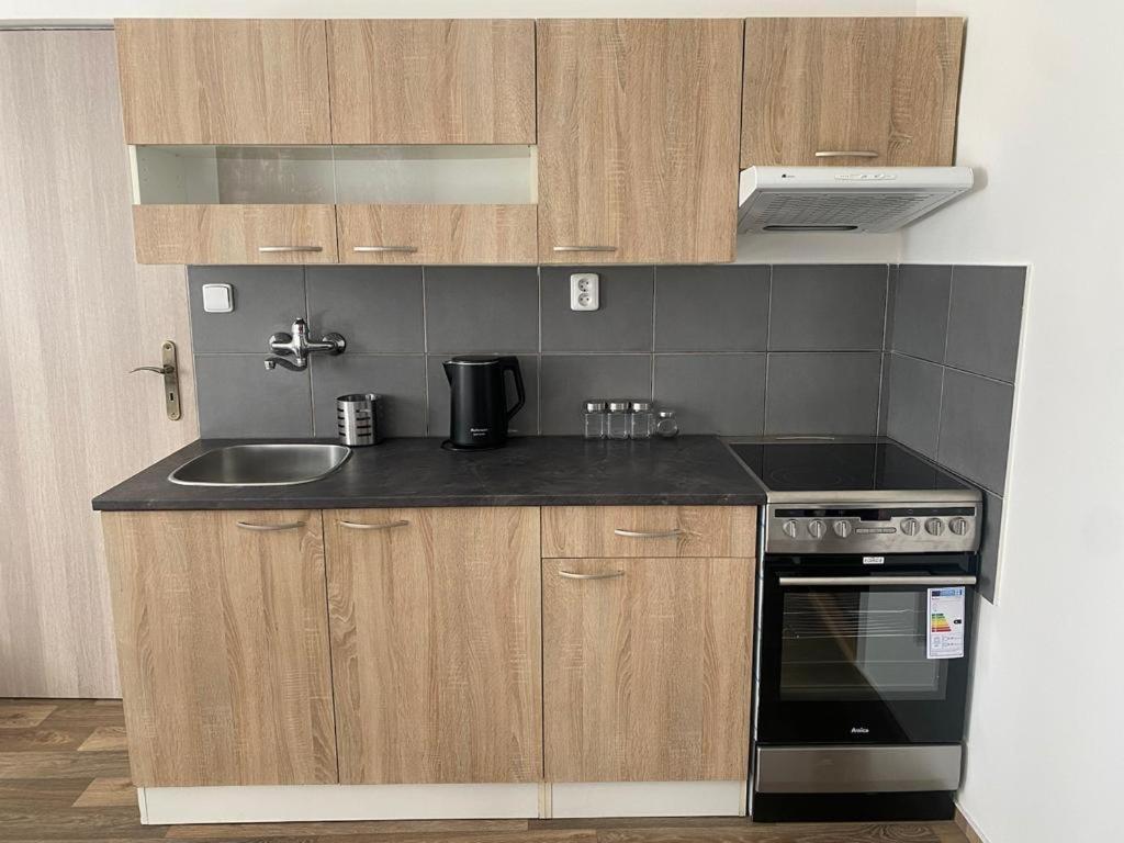 Cerna Ruze - Apartman 4 Plzeň Exteriér fotografie