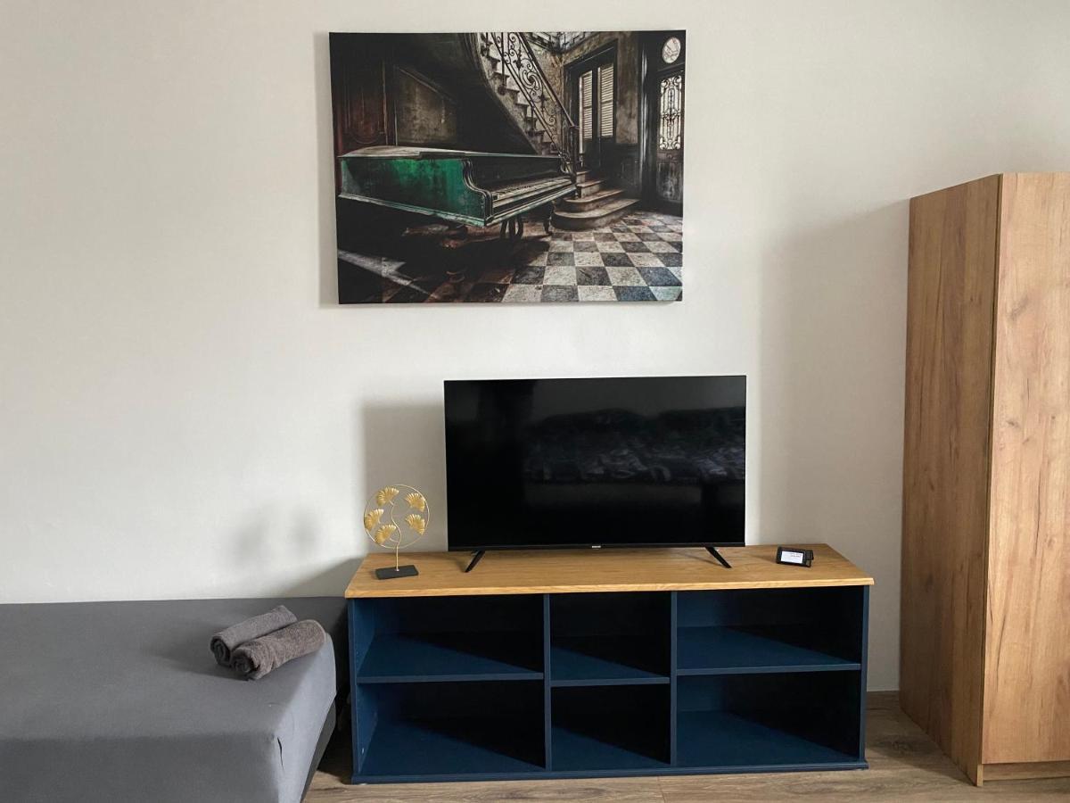 Cerna Ruze - Apartman 4 Plzeň Exteriér fotografie